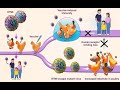 Epidemiología - Definiciones - 2BAC