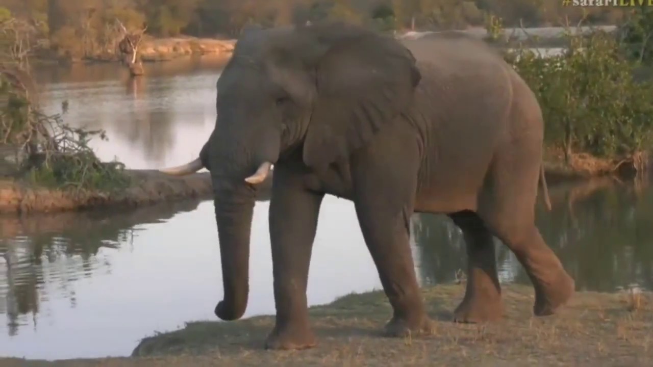 sindile faku June 20, 2017- Sunset- It is all happening right now at Chitwa