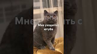 Мне уходить с ютуба