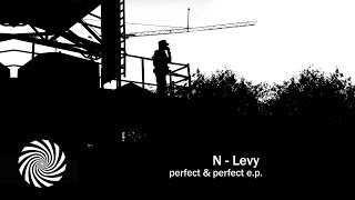 Vignette de la vidéo "N-Levy - Perfect & Perfect"