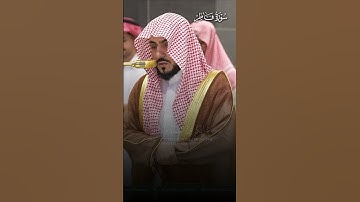 تلاوة بهيّة من سورة فاطر | تلاوة فضيلة الشيخ د.#الوليد_الشمسان