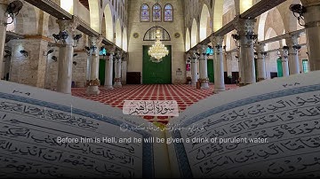 وقال الذين كفروا لرسلهم لنخرجنكم من أرضنا ... سورة ابراهيم ايات 13- 17 | Surah Ibrahim verses 13-17