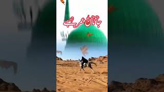 عدل کا پرچم ❤️💝🌺