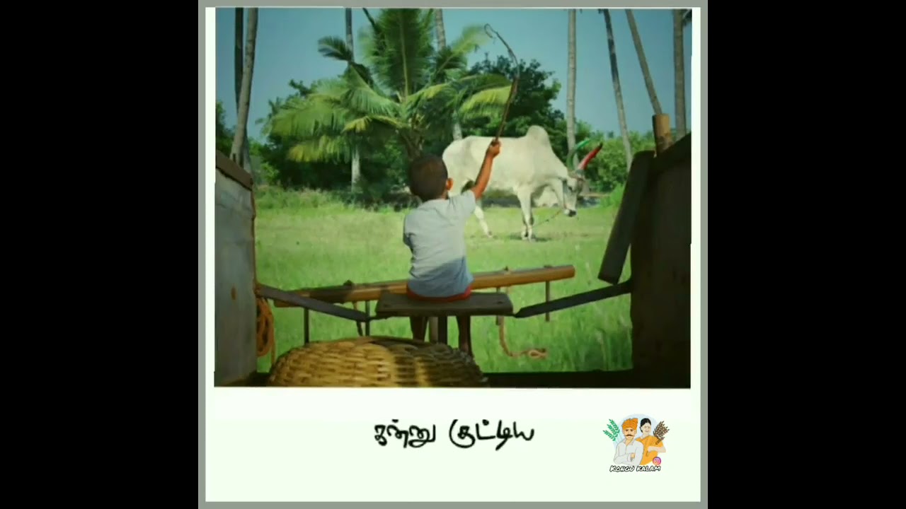 Kongu Ring  tone BGM kongu kalam  tamil culture  kongu  digital platform media