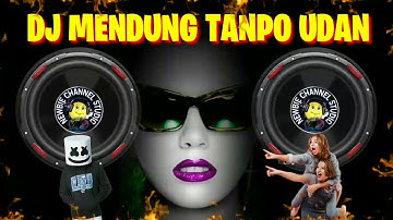 Dj Mendung Tanpo Udan #jedagjedug #djfyptiktok @NewbieChannelStudio
