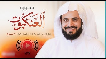 رعد محمد الكردي || سورة العنكبوت كاملة مسجد احمد الحبابي