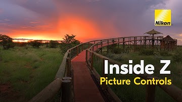 Inside Z: In-Camera Picture Controls