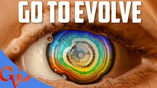 Original Compositions - Go To Evolve