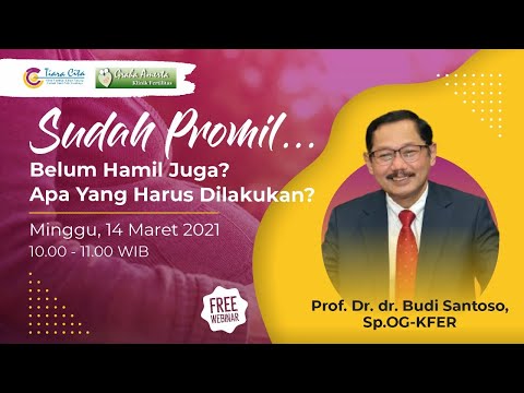 SUDAH PROMIL? BELUM HAMIL JUGA? APA YANG HARUS DILAKUKAN? | Prof. Dr. dr. Budi Santoso, Sp.OG-KFER