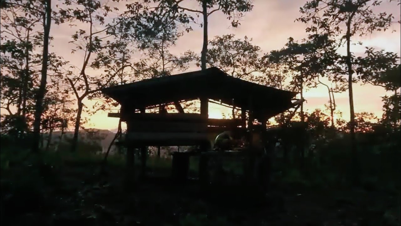 เดินป่าฝนตกเจอกระท่องร้างในป่า  อาศัยนอน กลางคืนเจอดวงไฟสีแดงลอย