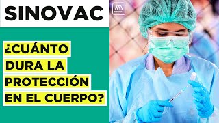 Vacuna Sinovac: ¿Cuánto dura su protección?