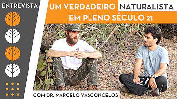 O que é feição naturalista?