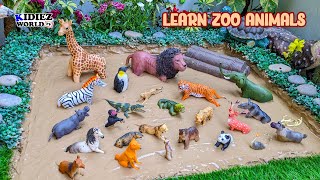 Zoo Animals for Kids: Mud Adventure Rescue! Moose, Ostrich, Rhinoceros & More 🦌🐅🐧
