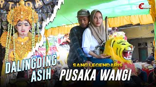 Download Lagu PUSAKA WANGI - DALINGDING ASIH | KARANG TANJUNG 2025 MP3