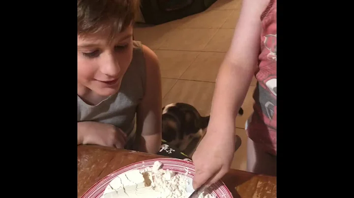 Flour and jaffas makes A Messy Family Game