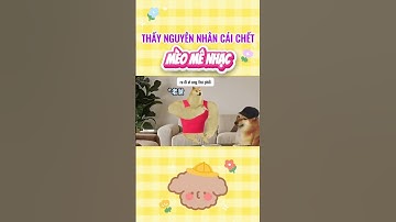 Thấy Nguyên Nhân Cái Chết #xuhướng #cute #funny #viral