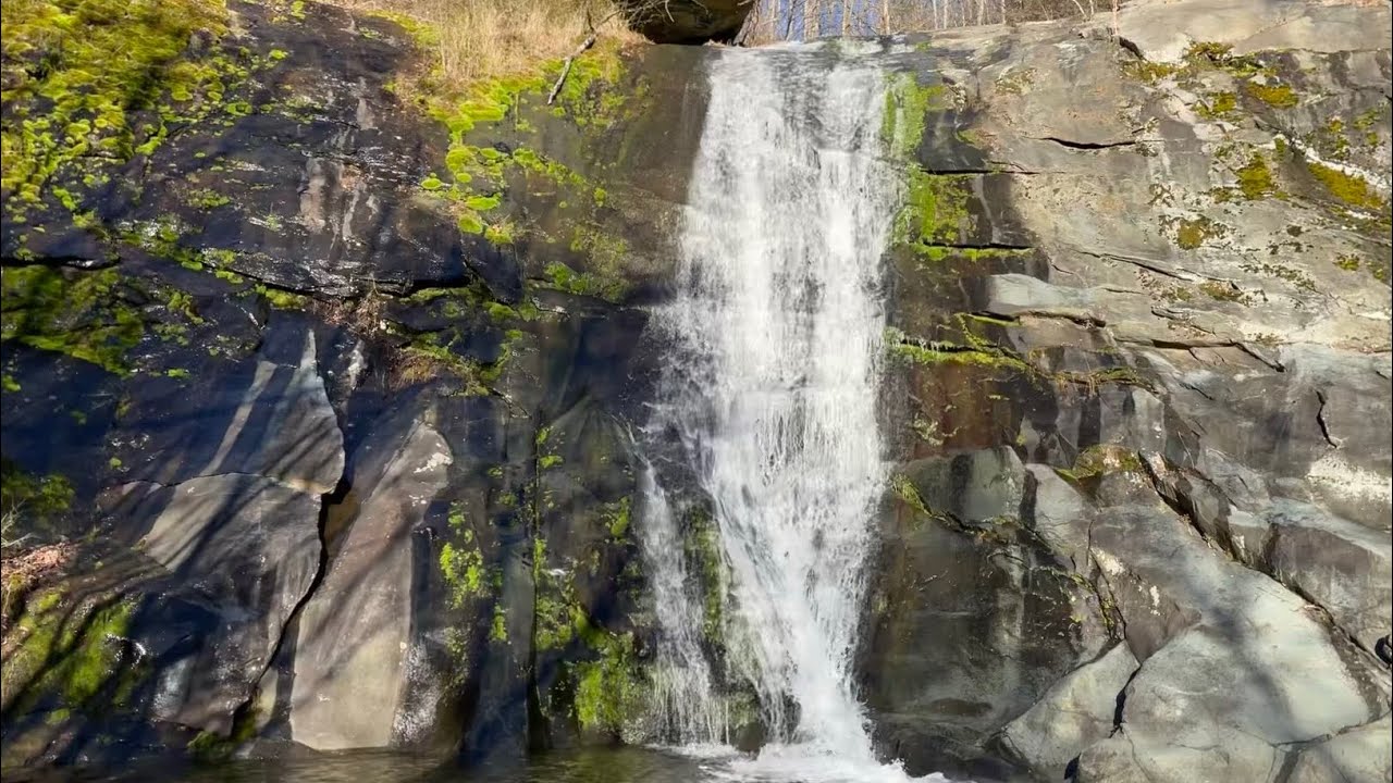 Wild Virginia Trout on the Moorman's River 16.9 Mile Hike & Fish |