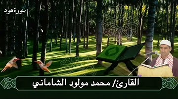 القارئ محمد مولود الشاماني تلاوة عراقية سورة هود من الآية ١ إلى الآية ٢٦