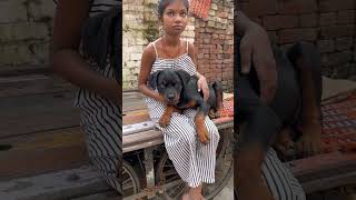 #rottweiler #pitbull #dog #aggressive #dogfight #viral #trending #familydog