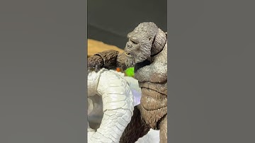 Kong was worried #godzillaactionfigures #kong #shimo #comedy