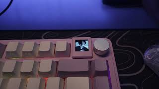 Có Anh Em Nào Hóng Tui Review Con Này Không? | Xinmeng M75 | KeyPickz #keypickz #keyboard
