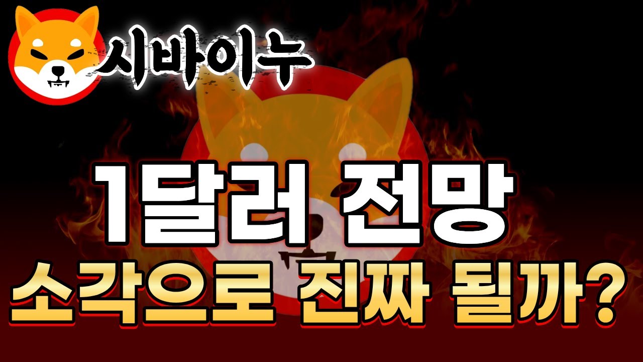 시바이누 1달러, 소각만으로 가능할까? - YouTube