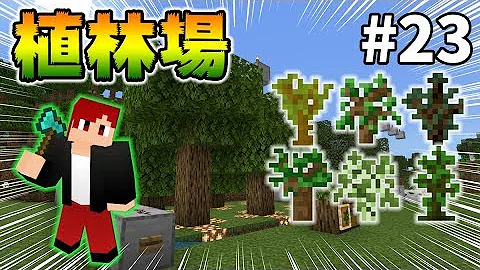 تحميل マイクラ 植林場