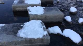 20140211 산책 8