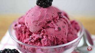 Hurom Blackberry Ice Cream Recipe