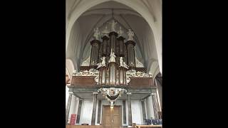 Ik Wil Zingen Van Mijn Heiland - Henk Frank Strijkert Orgel