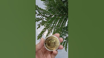 happy new day with Pi network #investtv #pinetwork #coin #daopi #bitcoin #crypto #blockchain #tienao