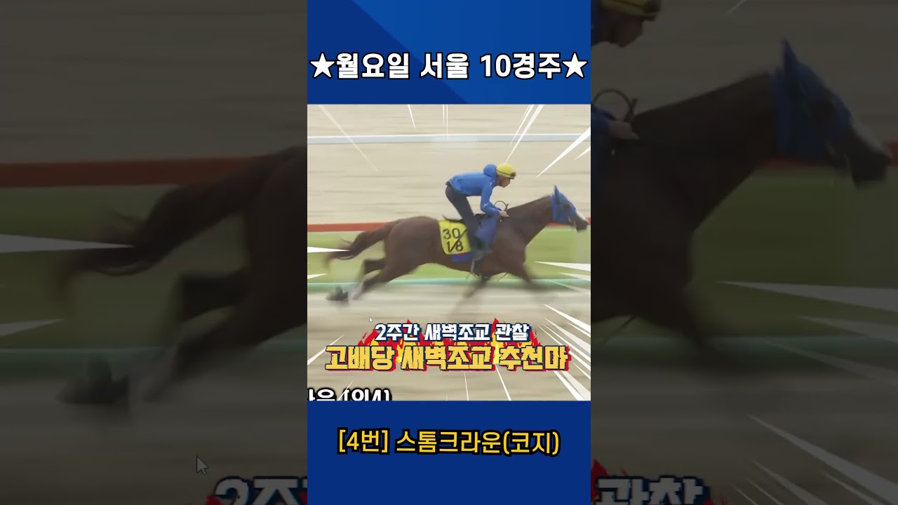 8월17일 월요일 서울 10경주!! 2주간 훈련보인 강백호의 새벽조교 쏘스마!!