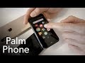 Palm Companion Phone unboxing & first impressions
