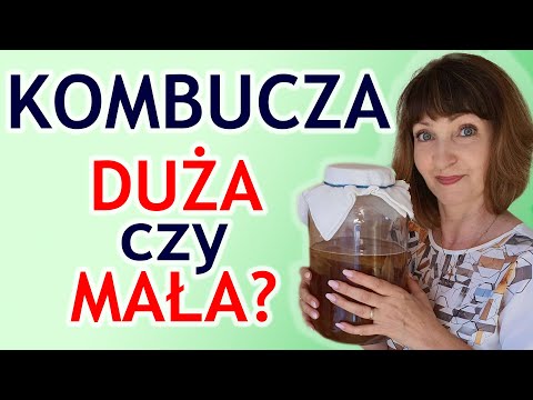 Wideo: Czy kombucha cię odurza?