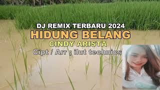 dj remix terbaru 2024 - HIDUNG BELANG - CINDY ARISTA - Video lirik/ Cipt/ Arr: ilut technics