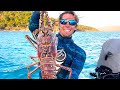 Catch Clean Cook HUGE Lobster! Living on A Sailboat FULL-TIME in the CARIBBEAN!