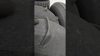 Do Paddle Tires Wear Out? 4K Miles In The Dunes