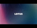 Benzooloo - Lotus