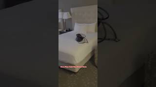 Drury Plaza Hotel New Orleans Room #travel #for #foryou #fy #youtubeshorts #youtube #yt #hotel #fyp