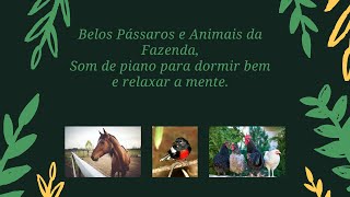 Belos Passaros e Animais da Fazenda Som de piano para dormir bem e descansar a m