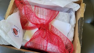 UNBOXING - Coach Mini Bag + Try On