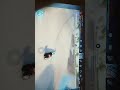 Skate PRIME