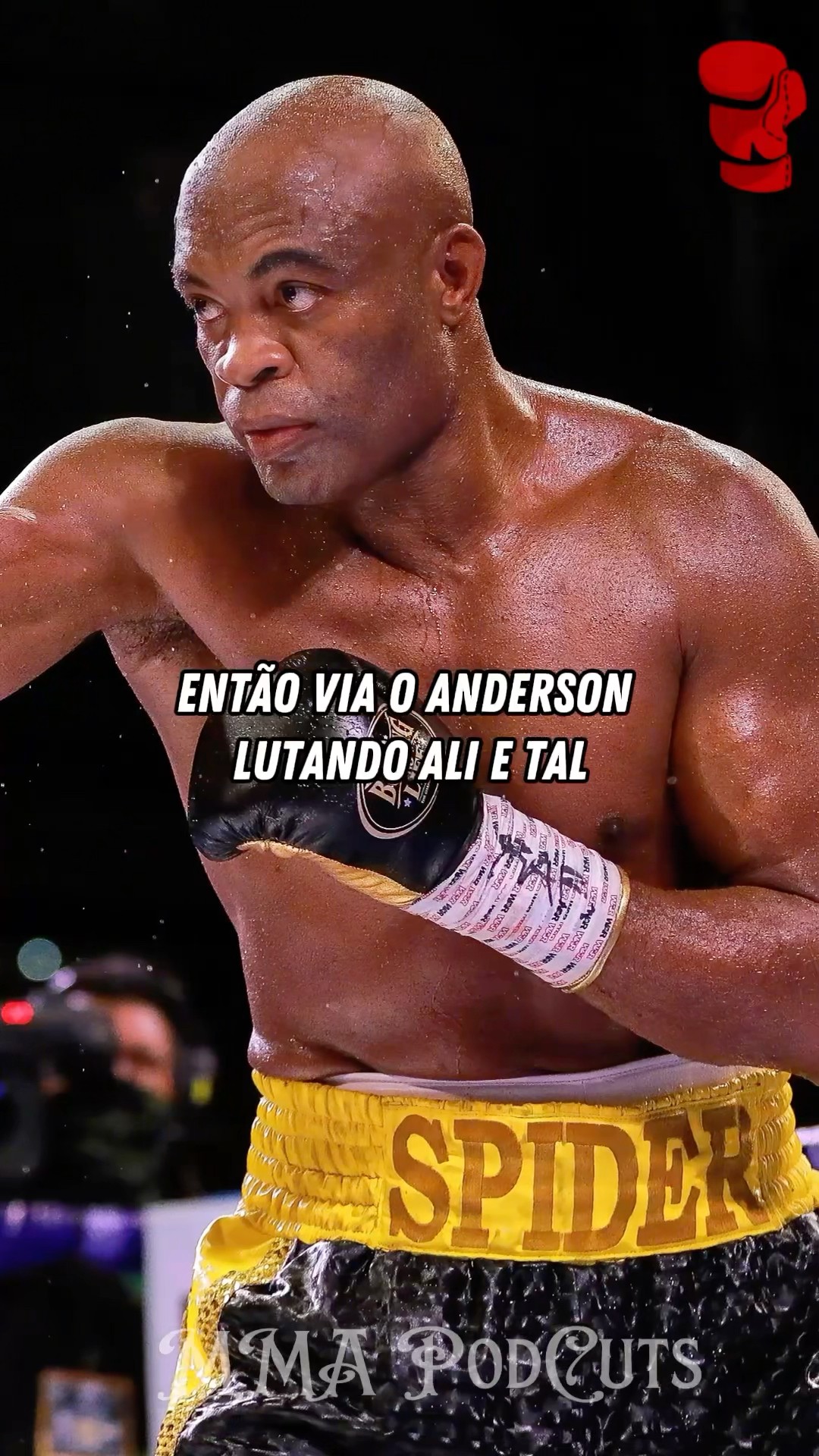 ALEX PEREIRA SOBRE ANDERSON SILVA #mma #luta #boxe #ufc #shortsfeed #brasil #foryou