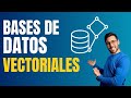 Qué es una base de datos vectorial y cómo usar una | Guía Paso a Paso