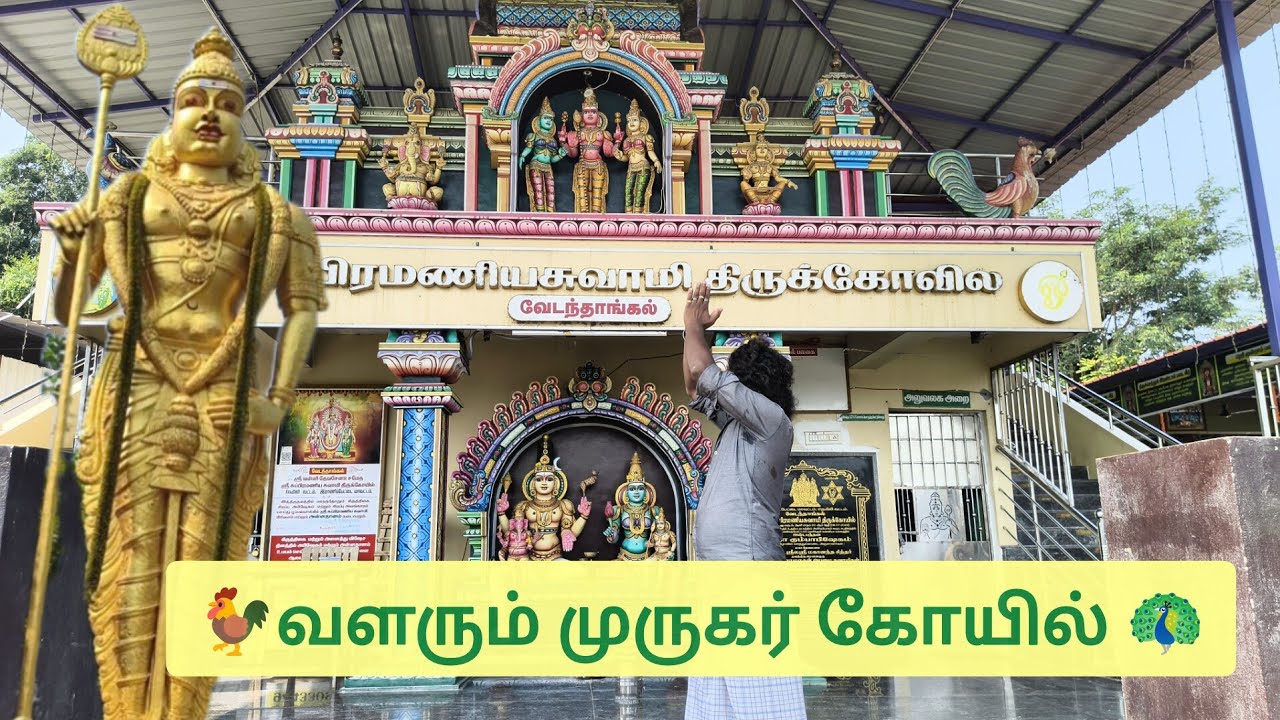 ராணிப்பேட்டையிலும் முருகர் சிலையா 🤔 Ranipet EP-4 #ranipet #murugan #temple #god #hills
