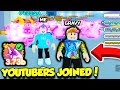 These YOUTUBERS Joined Me In Pet Simulator X And Gave Me INSANE DARK MATTER PETS!! (Roblox)