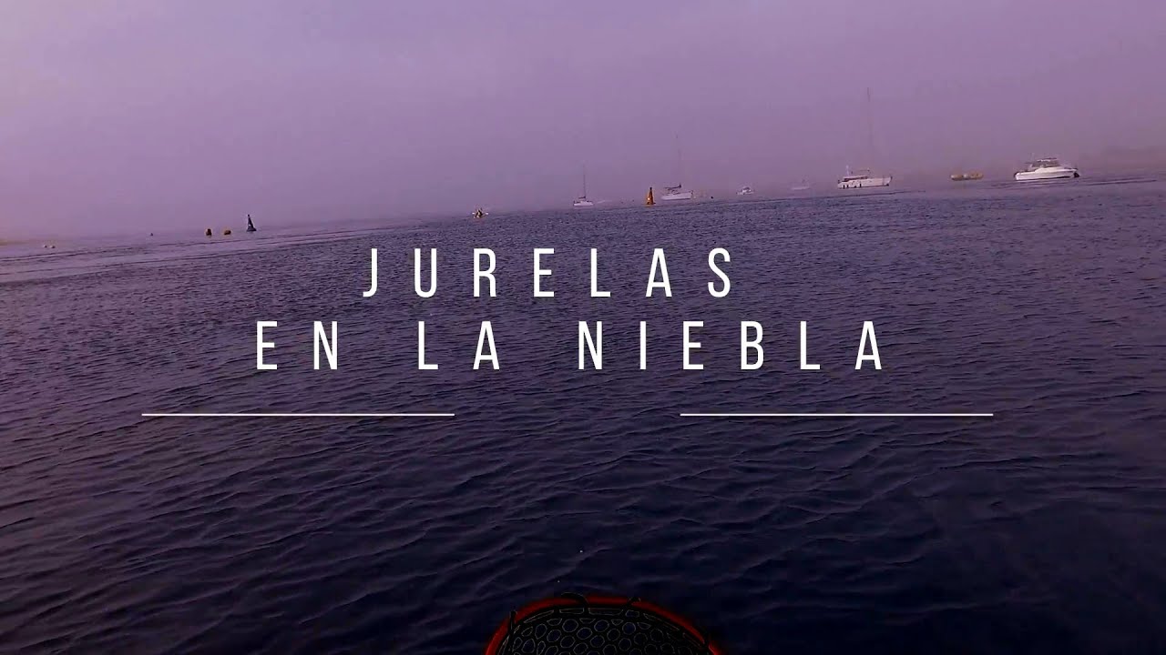 PESCA DESDE NEUMÁTICA OZEAM EN SANCTI PETRI 7-8-24