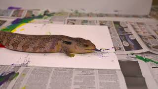 Painting with Pride!
