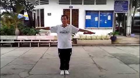 BT THÁI CỰC SONG PHIẾN DS LÁI THIÊU