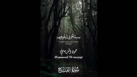 صوت شجي||القارئ حمود المزجاجي||جامع رياض الصالحين عتق شبوة اليمن